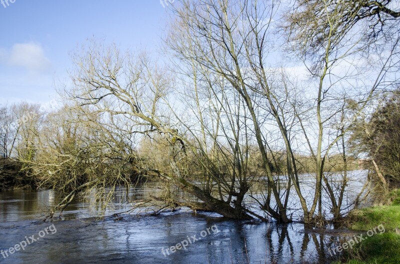 River Floods Water Trees Fallen