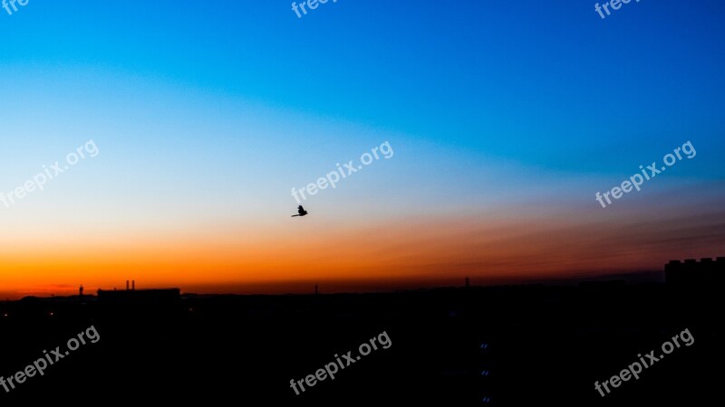 Blue Orange Silhouette Chenguang The Morning Sun