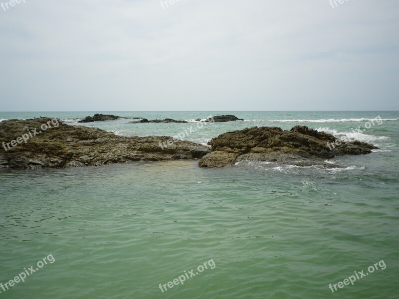 Sea Ebb Reef Thailand Free Photos