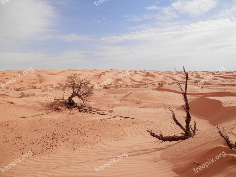 Sahara Desert Tunisia Free Photos