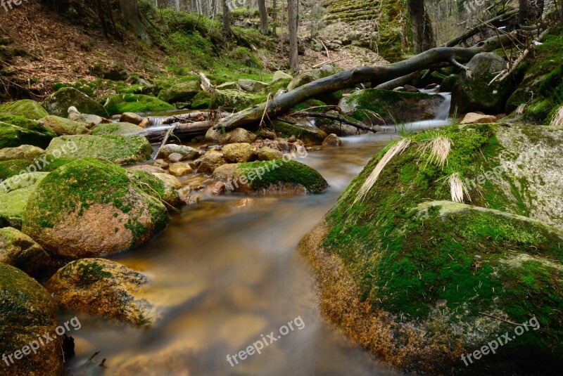 Stream Torrent Forest Landscape Nature