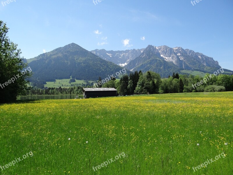 Spring Meadow Kaiserwinkl Tyrol Zahmer Kaiser Mountains