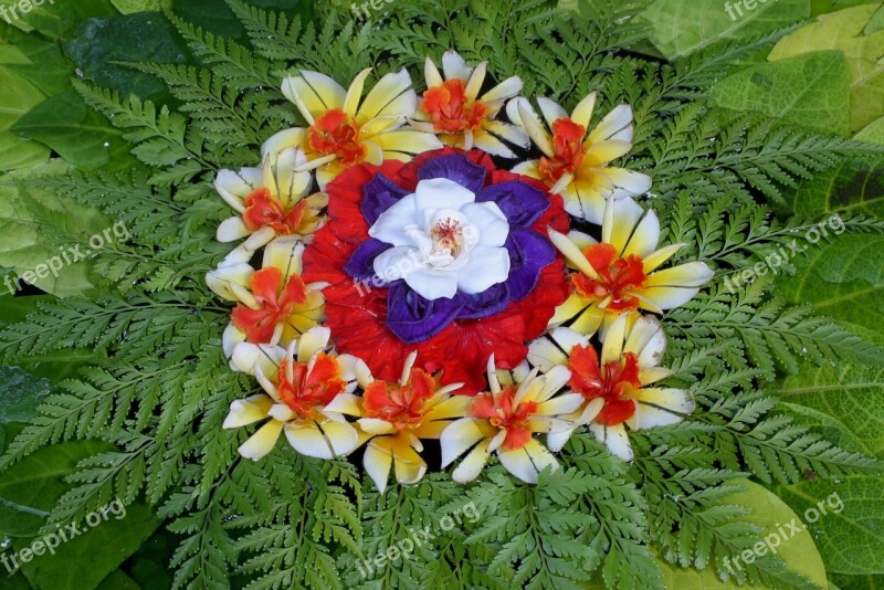 Flowers Offer Religion Colors Flower Arrangement