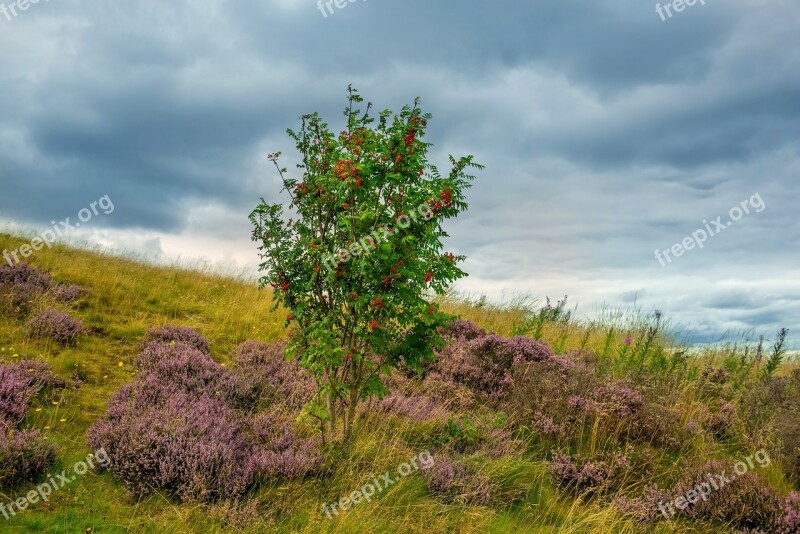 Holyrood Park Edinburgh Park Holyrood View Nature