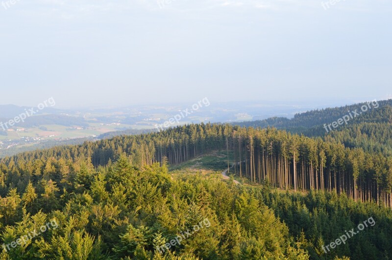 Forest Landscape Nature View Tower Austria