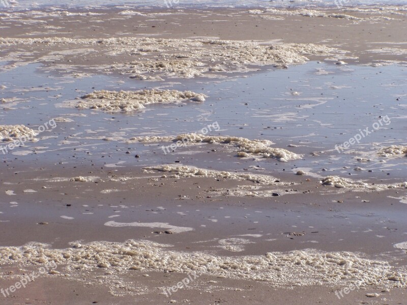 Beach Low Tide Sand Coast Ocean