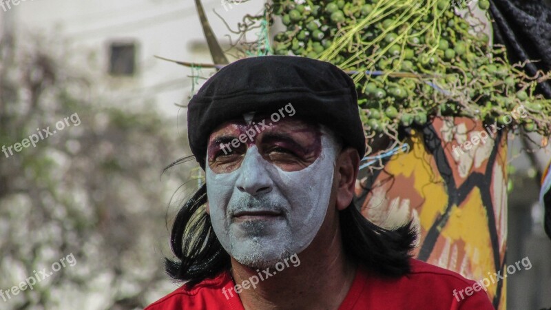 Carnival Man Painted Face Free Photos