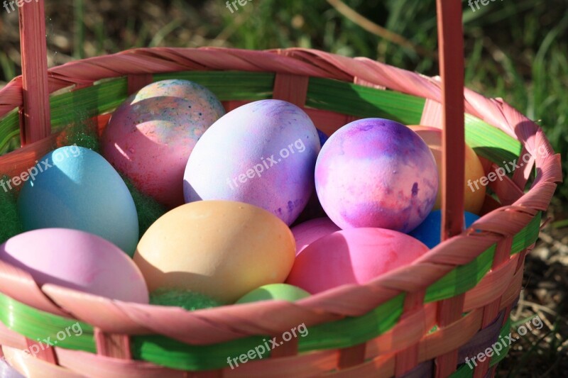 Easter Eggs Multicoloured Basket Grass Garden