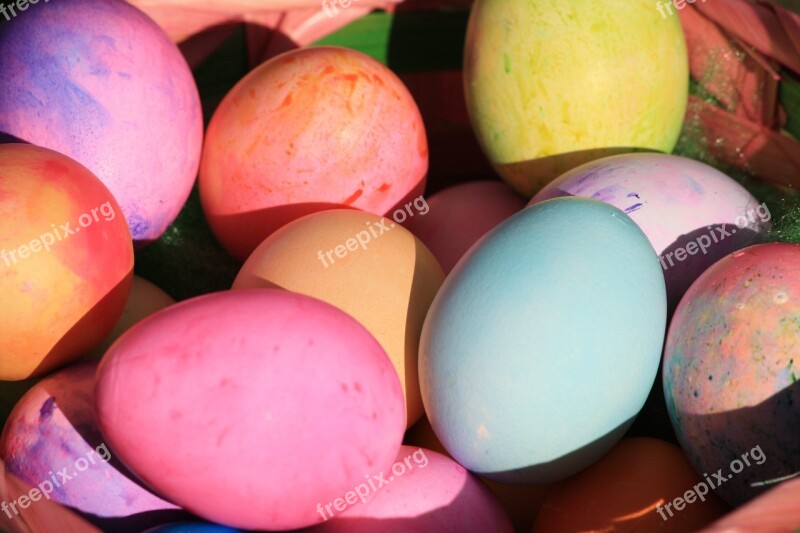 Easter Eggs Coloured Basket Grass Easter