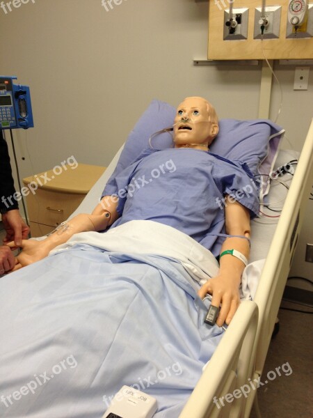 Cpr Dummy Medical Training Course Free Photos