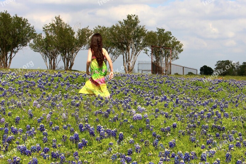 Blue Bonnets Flowers Girl Nature Spring