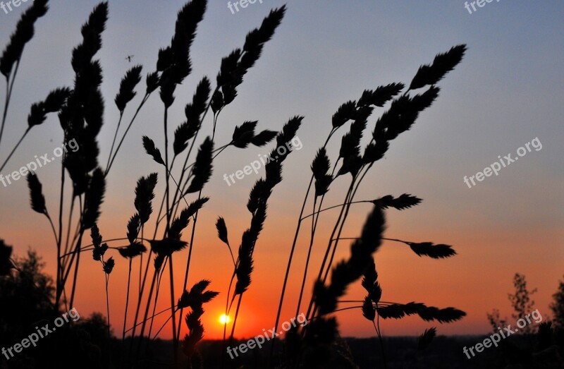 Sunset West Grass Free Photos