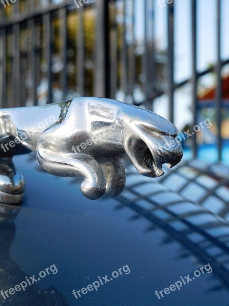 Symbol Car Brand Jaguar Car Icon Free Photos