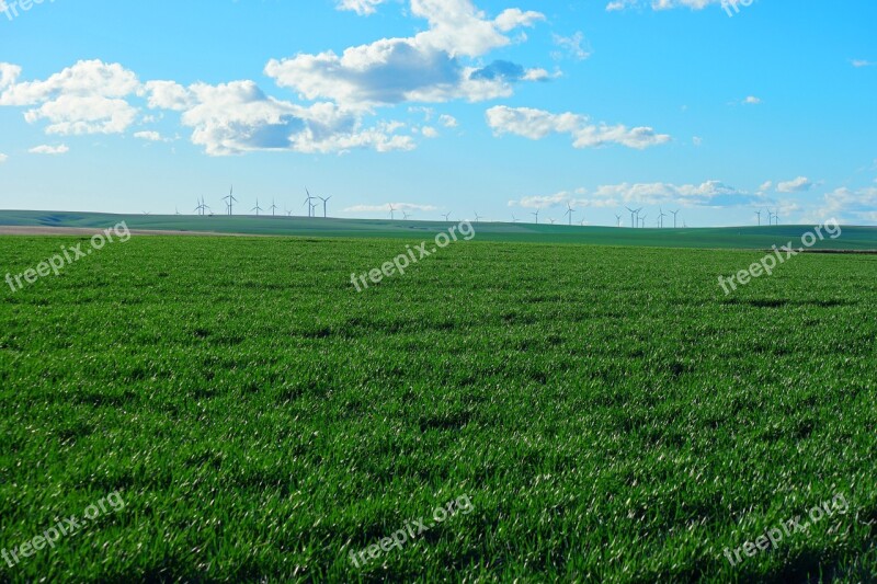 Energy Windmill Wind Power Electricity