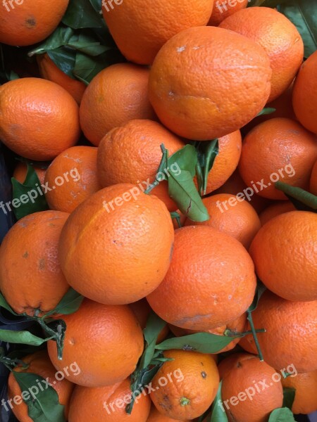 Oranges Fruit Moist Healthy Vitamins