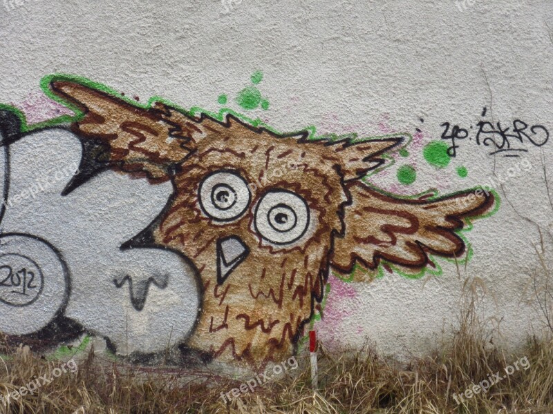 Owl Bird Graffiti Animal Street Art