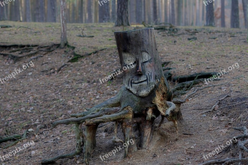 Wood Carving Nature Forest Root Art