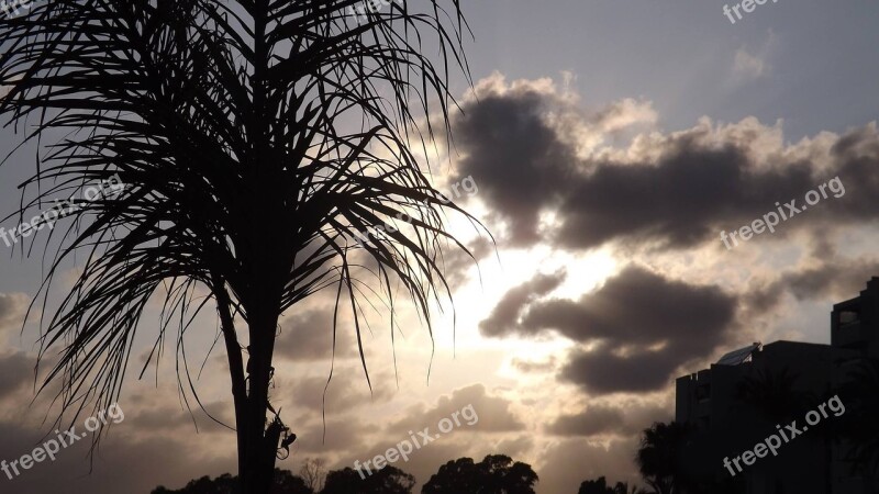 Sunset Beach Sky Tree Travel