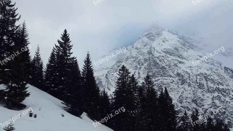 Wildental Allgäu Kleinwalsertal Alpine Winter