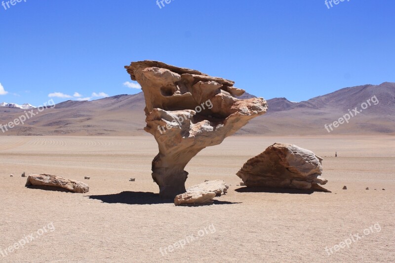 Bolivia Rock Formation Desert Rock Tree Free Photos