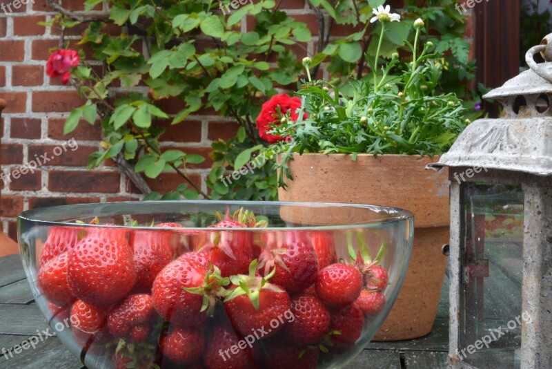 Strawberries Still Life Red Fruits Ripe