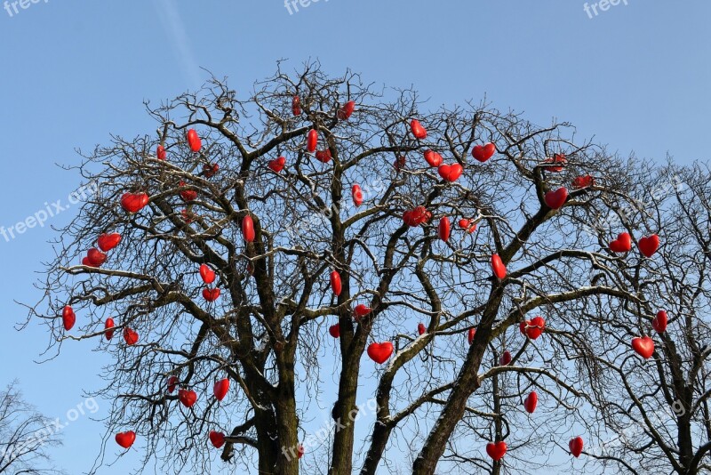 Heart Love Valentine's Day Together Tree