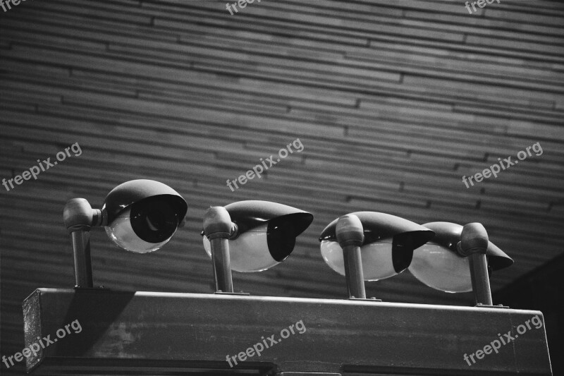 Camera Black White Rotterdam Wood-fibre Boards