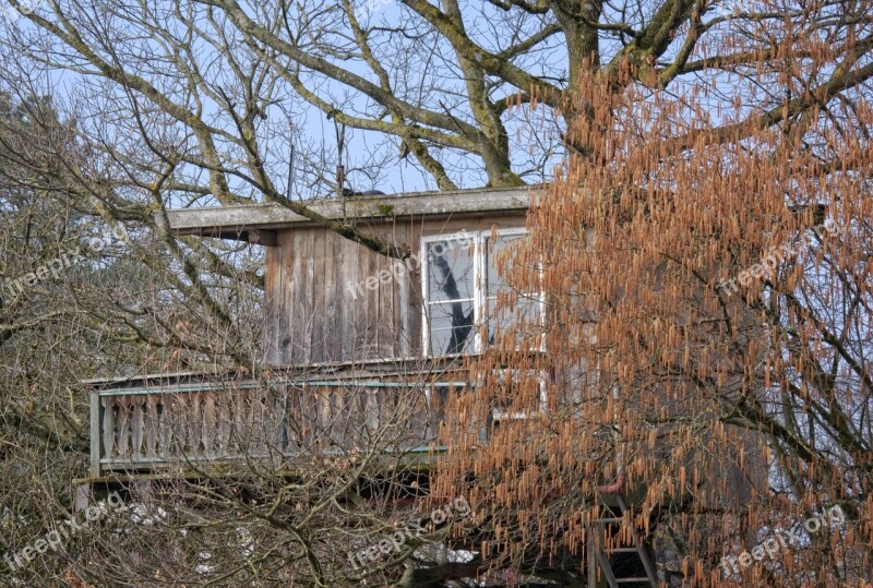 Treehouse Hut Tree Nature House