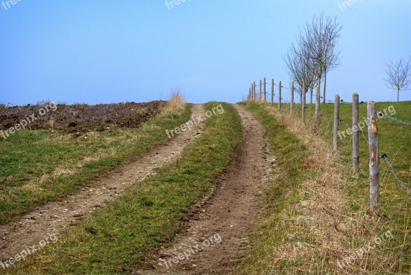 Lane Away Nature Meadow Field