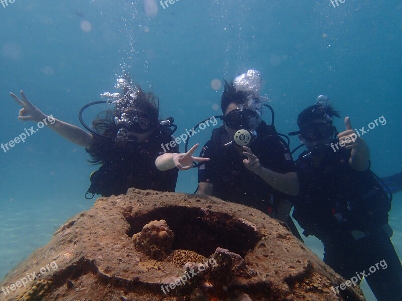 Marine Diving Sea Coral Sea Anemones