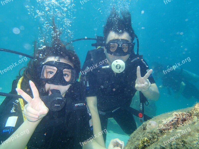 Marine Diving Sea Coral Sea Anemones