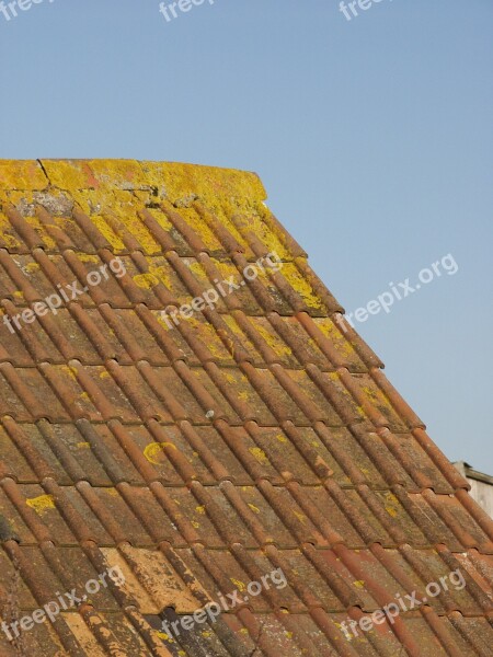 Tiles Roof Architecture Pattern Building