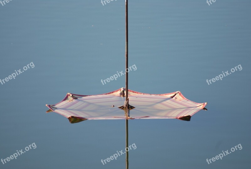 Umbrella Water Nature Summer Outdoor