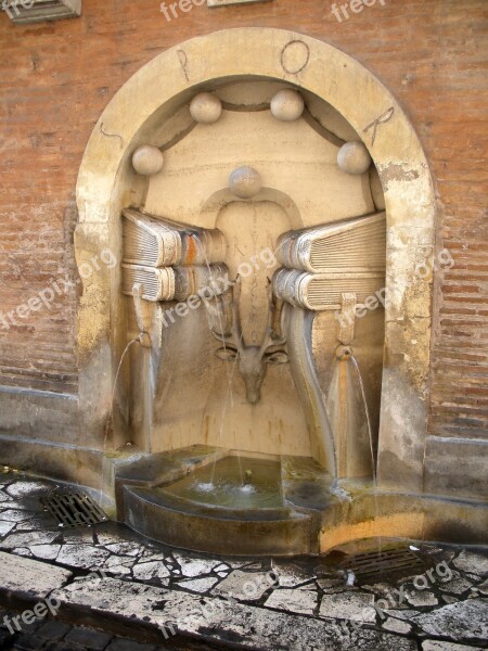 Fontana Books City Rome Italy