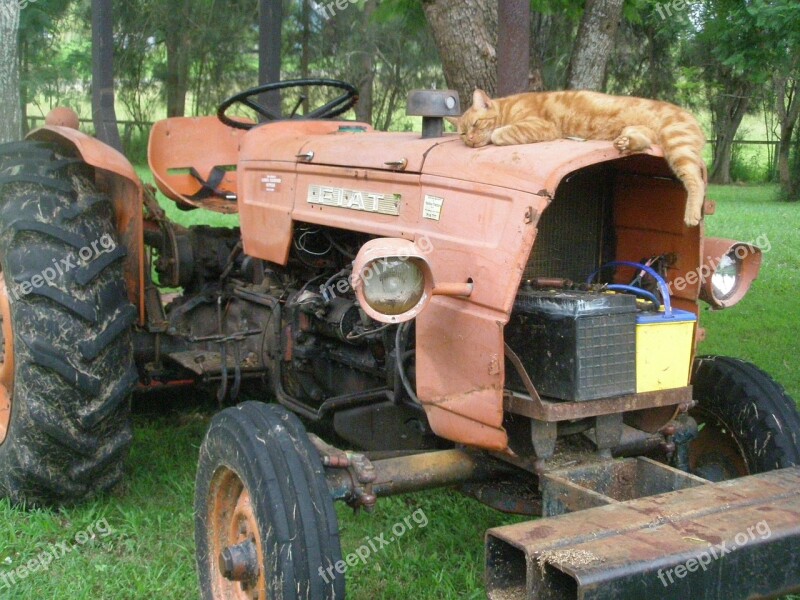 Tractor Farm Rural Cat Sleeping