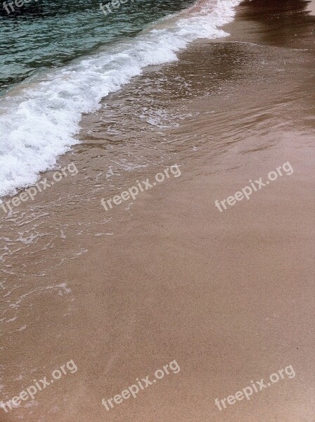 Beach Water Nature Sand Holiday