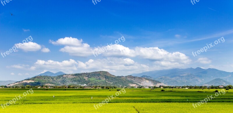 Thunderstorm My Hometown Paddy Field Silk Electricity