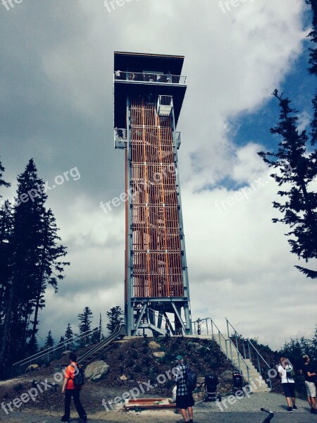 Tower Lookout Summer Dogtooth Nature