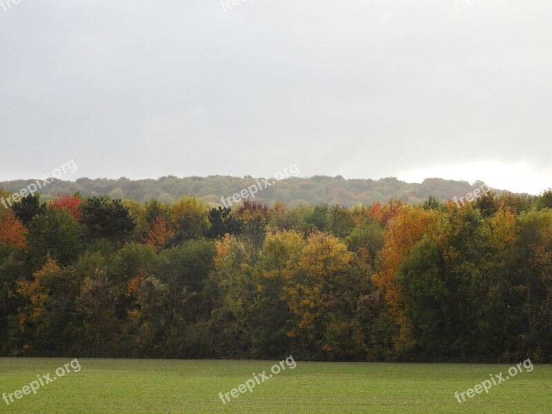 Nature Trees Landscape Forest Autumn