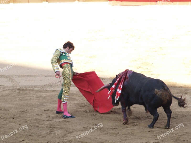 Torero Bulls Spain Bullfights Matador