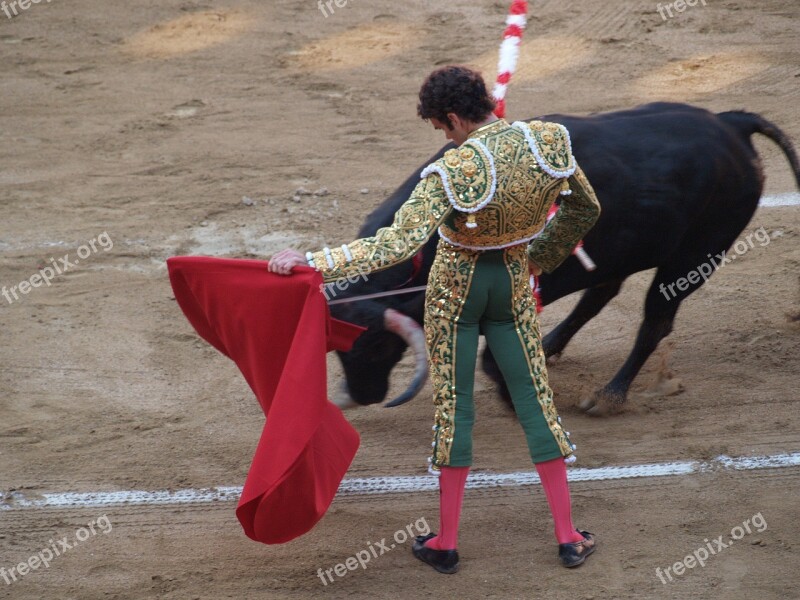 Jose Tomas Torero Bulls Free Photos