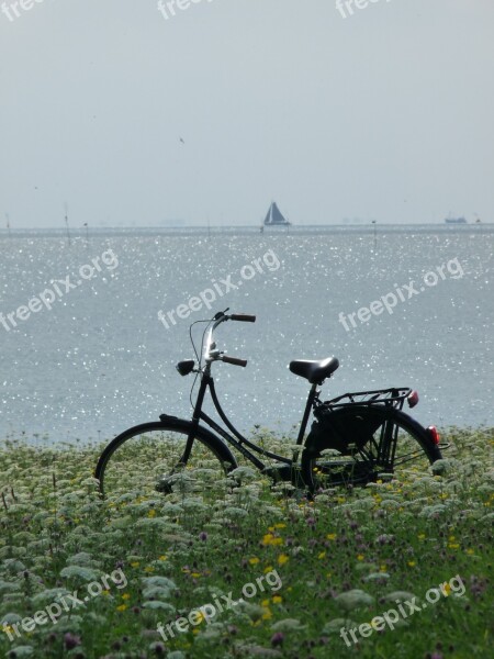 Bike Sea Bicycle Summer Vacation