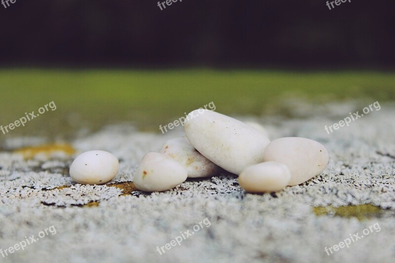 Stones Pebble Moss Nature Garden