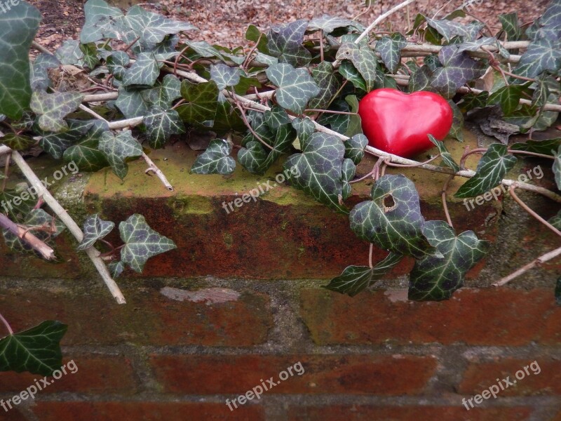 Heart Wall Ivy Loss Pain