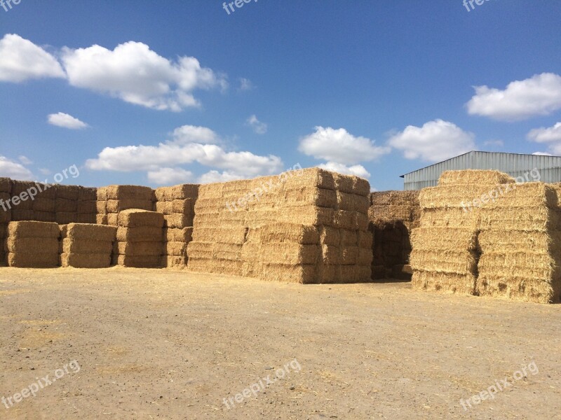 Packages Wheat Stack Heaven Summer