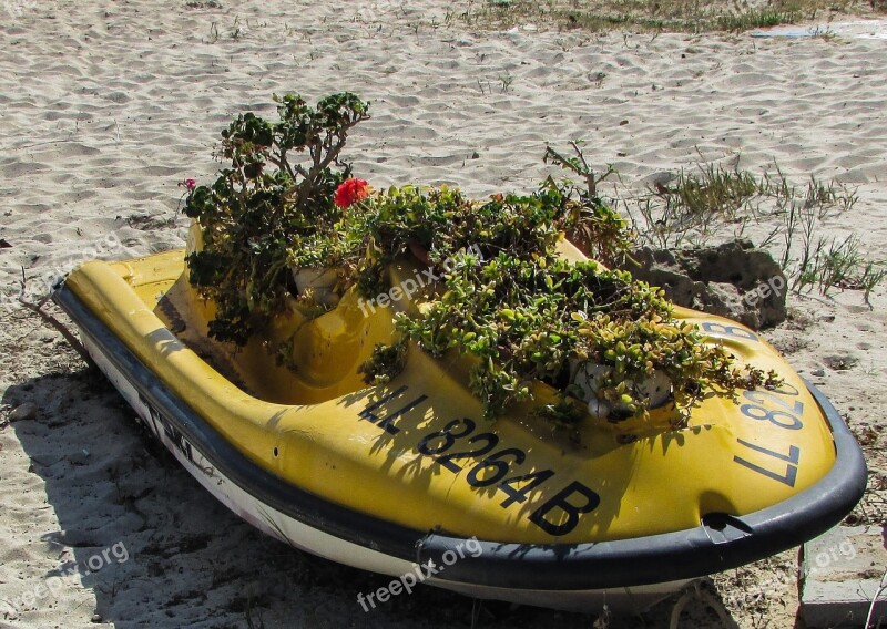 Flower Pot Improvised Jet Ski Abandoned Beach