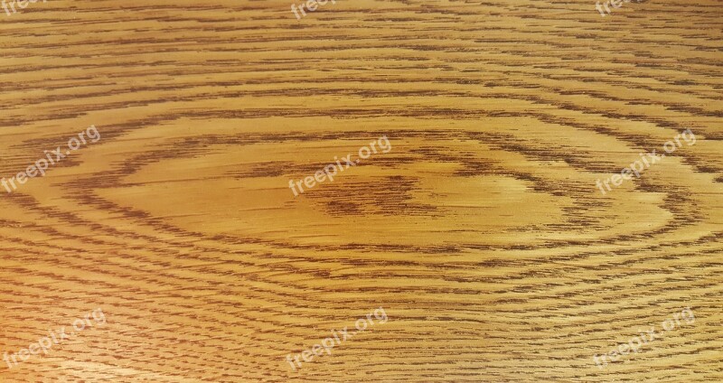 Wood Wood Grain Texture Wood Texture Knot