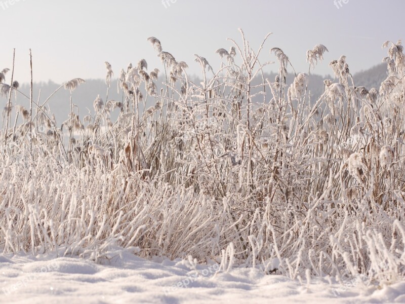 Winter Snow Wintry Cold Snowy