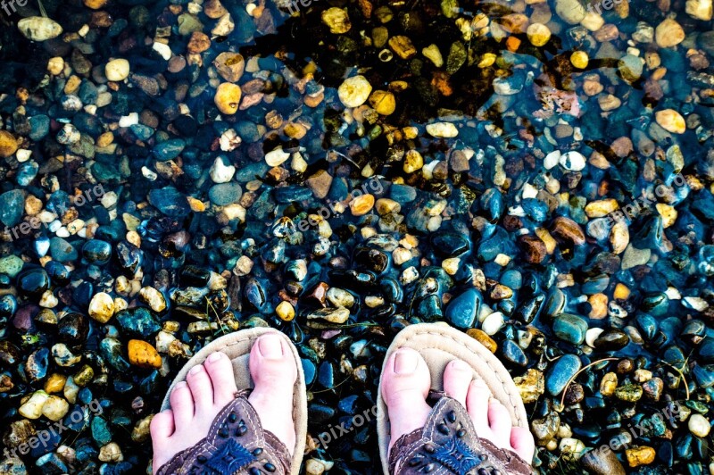 Feet Lake Water Nature Landscape