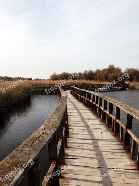 Tables Daimiel Natural Park Nature Reserve National Parks Free Photos